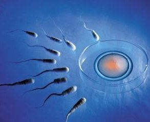 海南海口三代试管婴儿提高成功率攻略一览