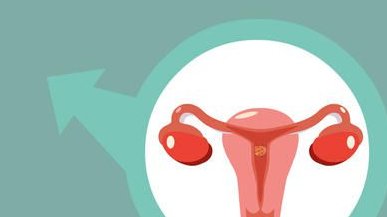 2026哈尔滨试管婴儿医院排名，附试管费用与成功率参考！