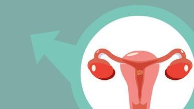 女性有染色体罗氏易位在桐城市做试管养囊成功率高吗？试管移植后需要保胎吗！