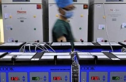 取出卵前拔智齿有什么影响？